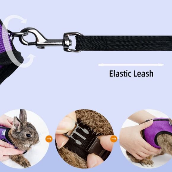 Niteangel Rabbit Harness Adjustable Soft with Elastic Leash Black Orange size S - Picture 4 of 14